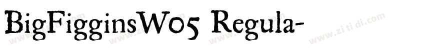 BigFigginsW05 Regula字体转换